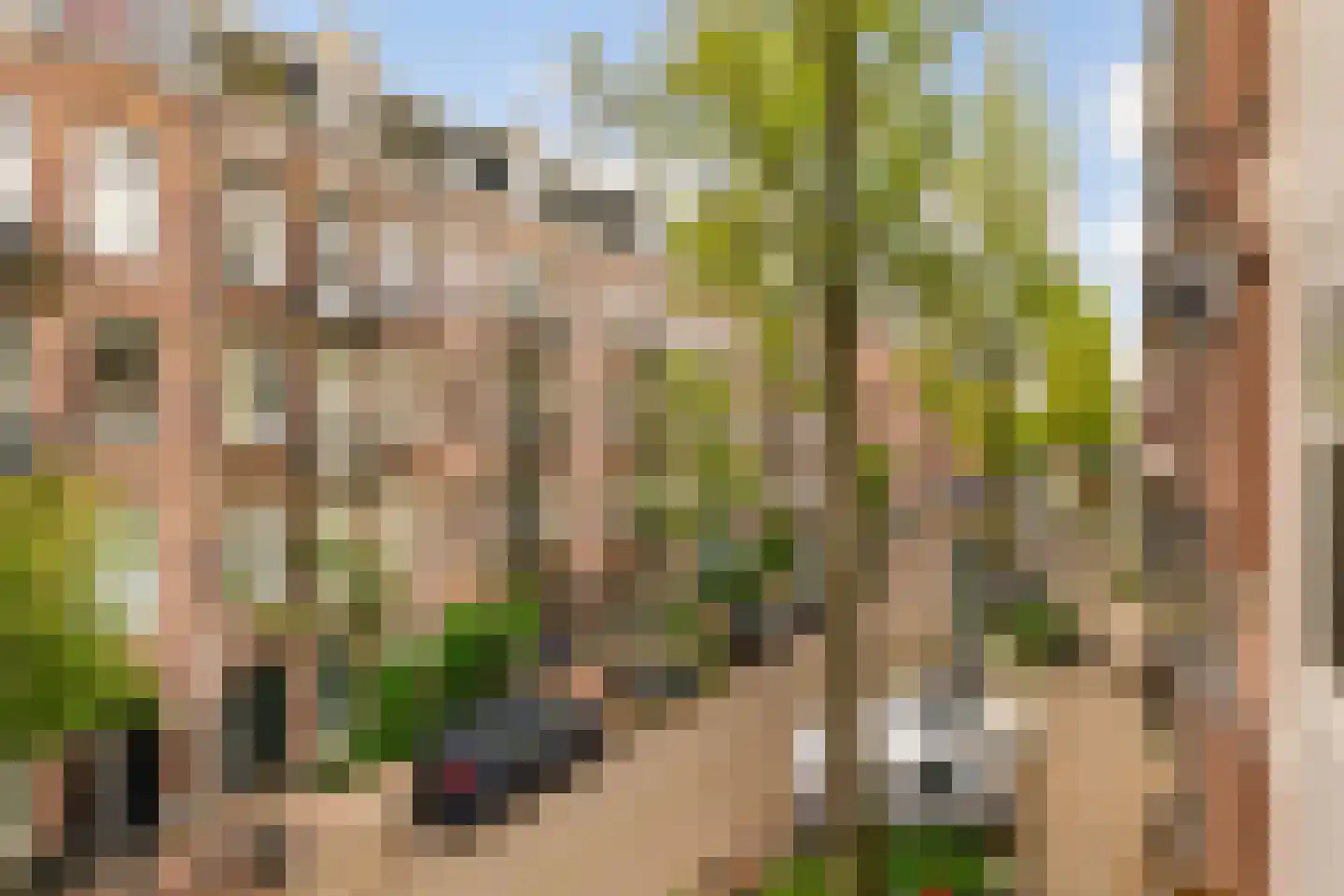 Vrolikstraat 257 B Amsterdam thumbnail 9