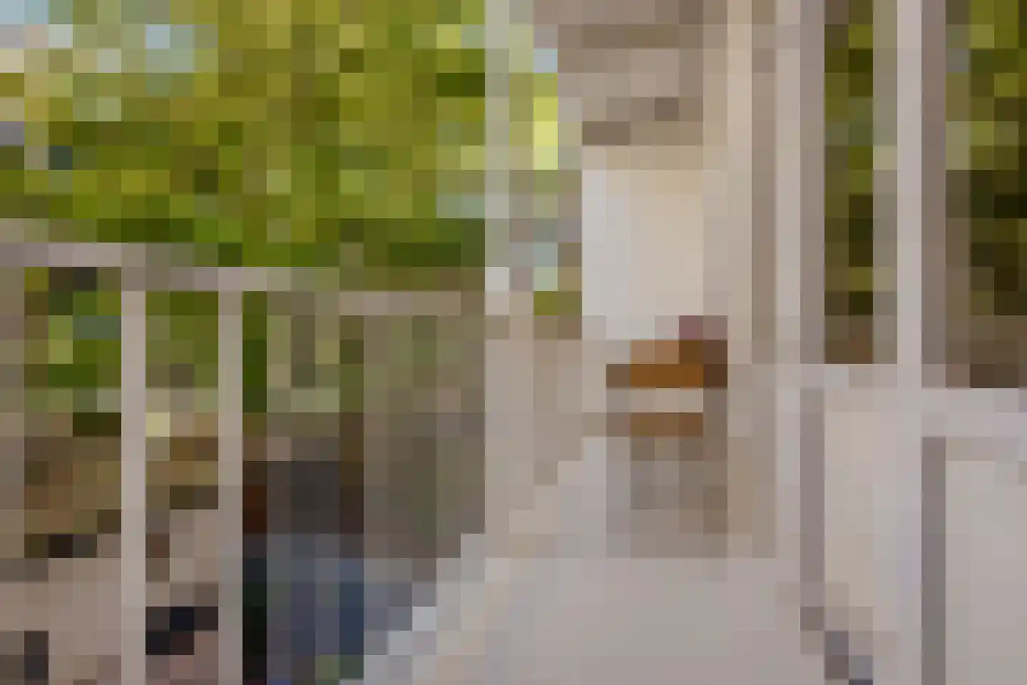 Vrolikstraat 273 4 Amsterdam foto 3