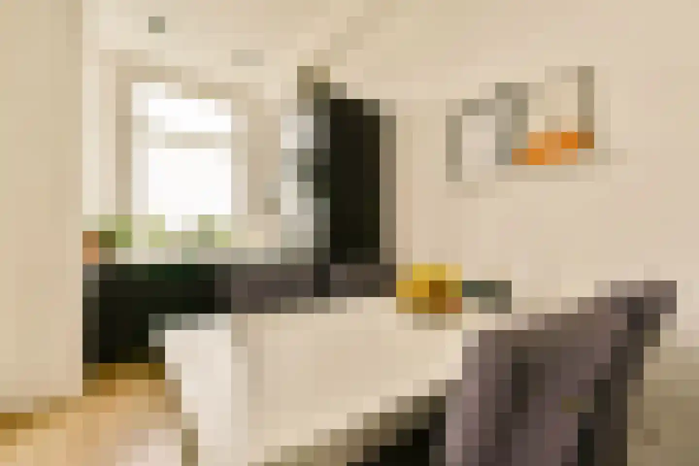 Vrolikstraat 294 2 Amsterdam thumbnail 11