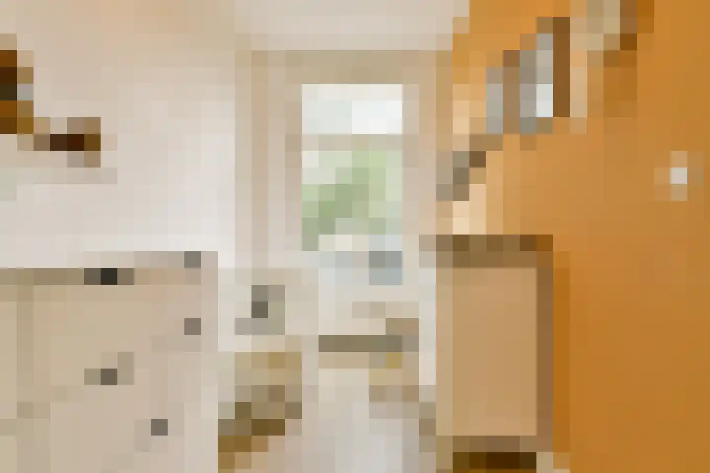 Vrolikstraat 294 2 Amsterdam thumbnail 17