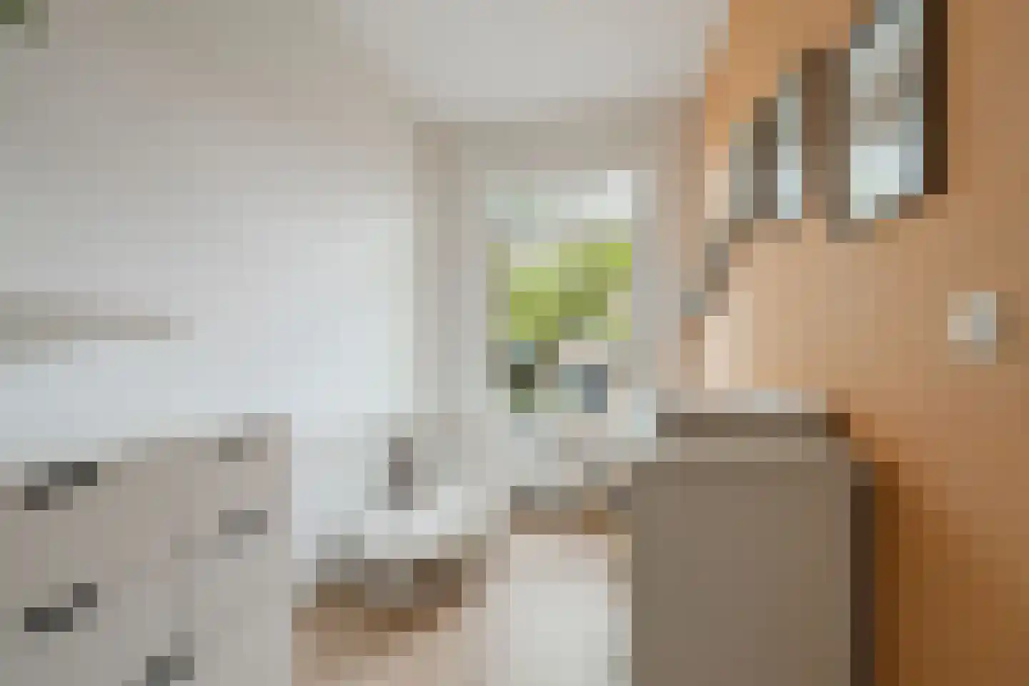 Vrolikstraat 294 H Amsterdam thumbnail 29