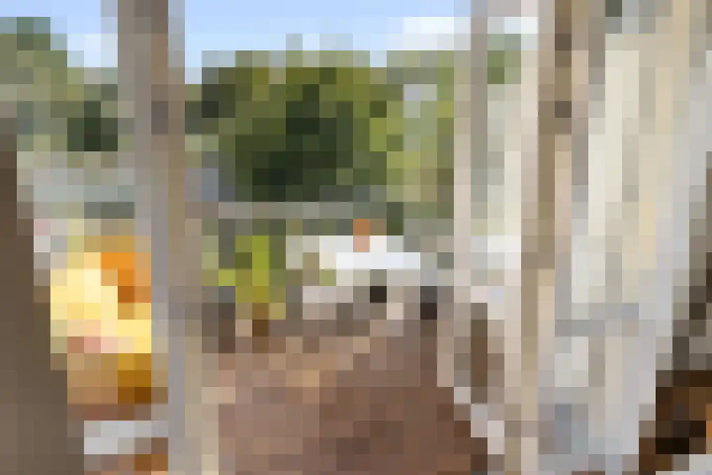 Vrolikstraat 296 2 Amsterdam thumbnail 19