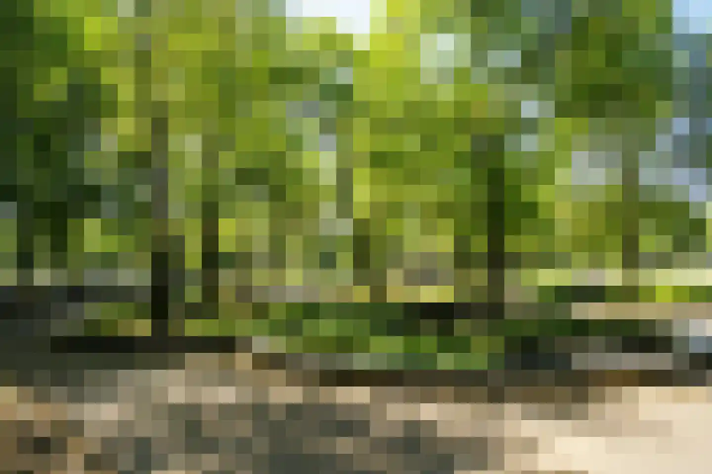 Vrolikstraat 296 2 Amsterdam thumbnail 32