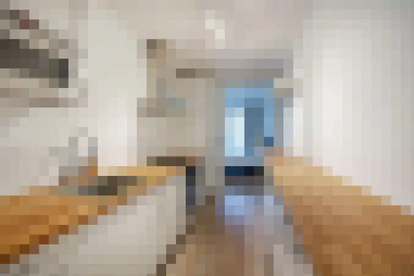 Vrolikstraat 297 F Amsterdam thumbnail 14