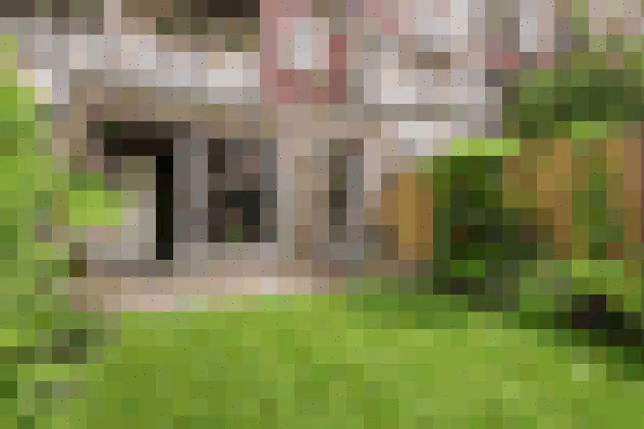 Vrolikstraat 305 1 Amsterdam thumbnail 23