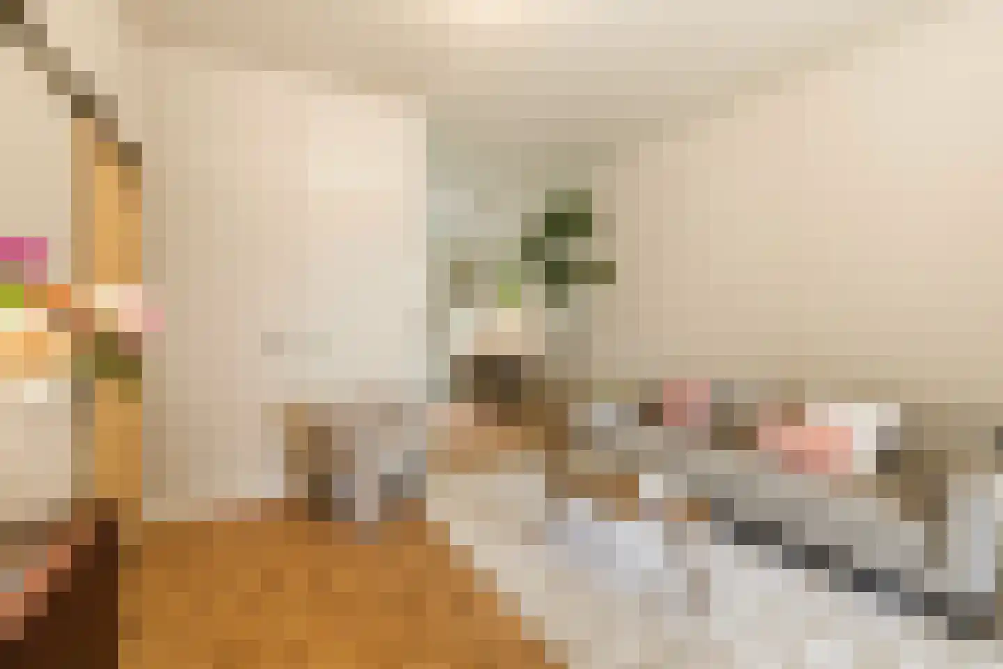 Vrolikstraat 305 1 Amsterdam thumbnail 7