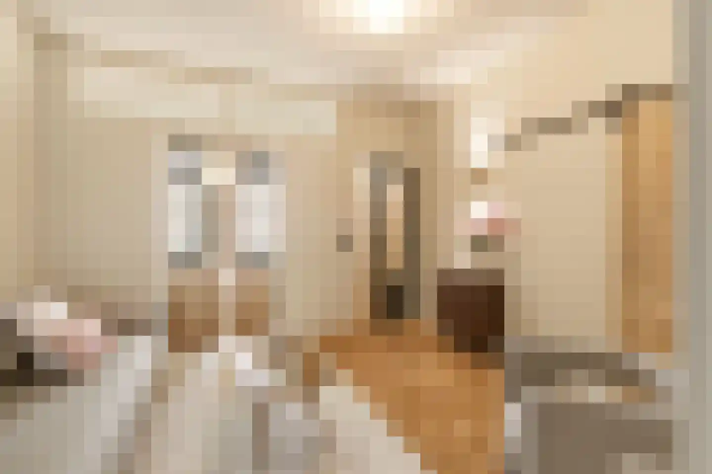Vrolikstraat 305 2 Amsterdam thumbnail 14