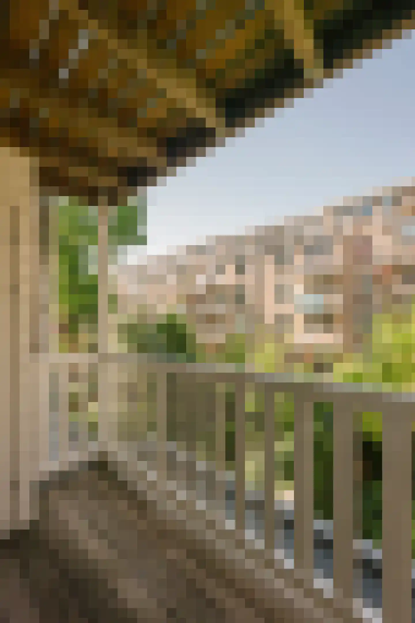 Vrolikstraat 315 1A Amsterdam thumbnail 19