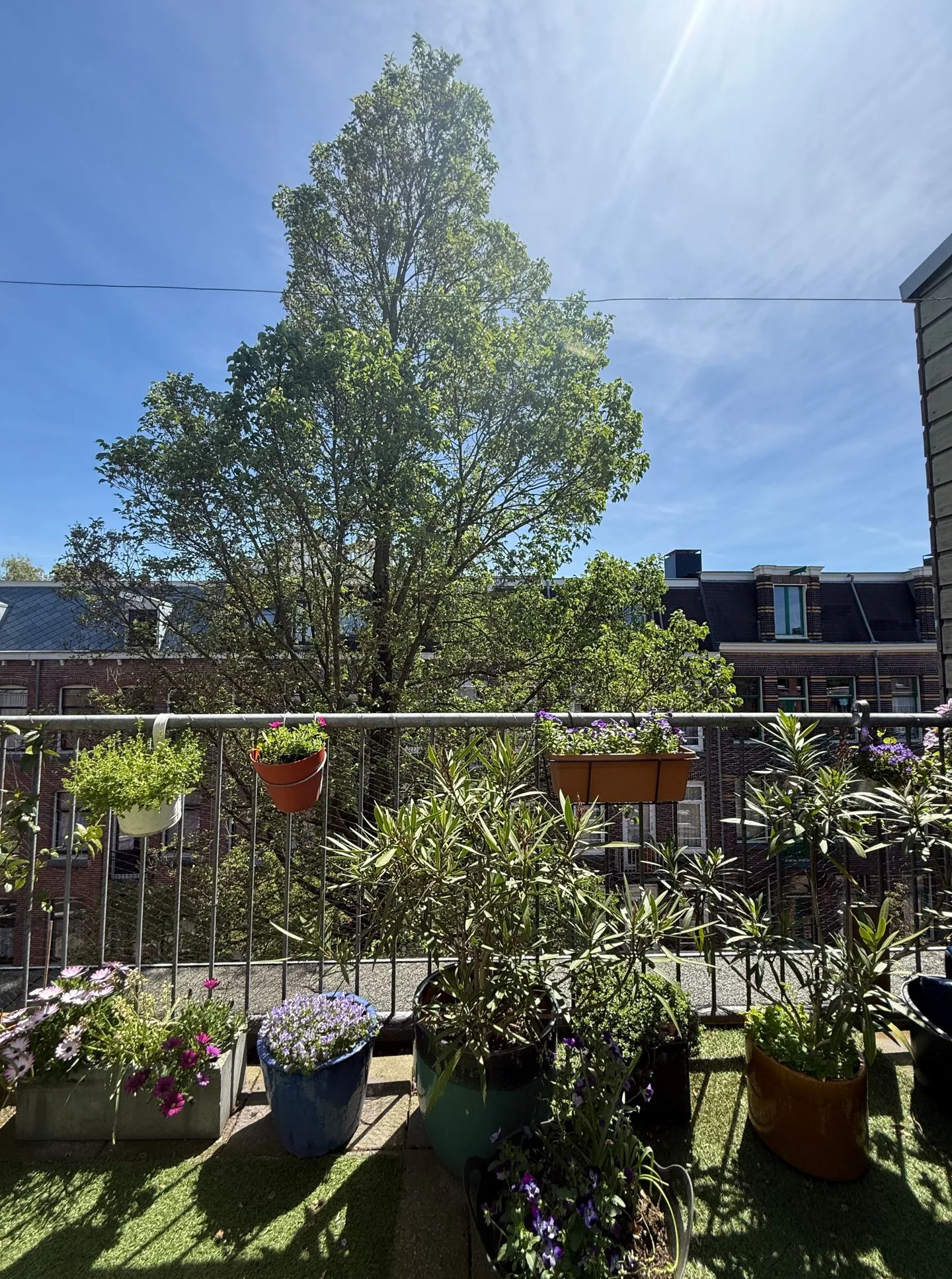 Vrolikstraat 347 F Amsterdam thumbnail 41