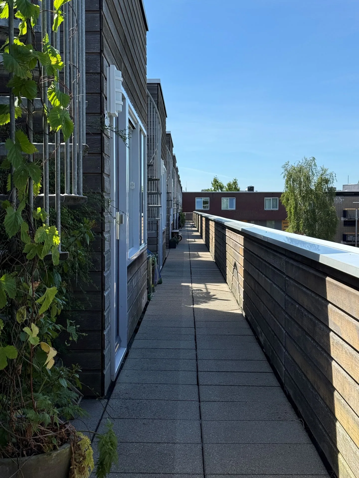 Vrolikstraat 347 F Amsterdam thumbnail 7