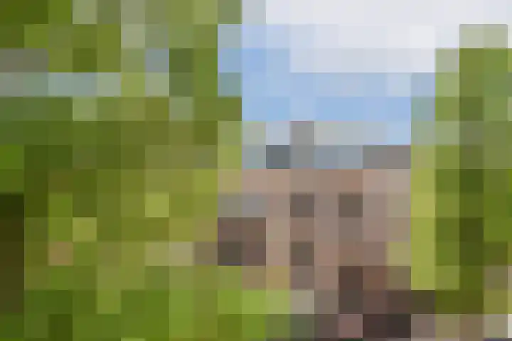 Vrolikstraat 349 K Amsterdam thumbnail 25
