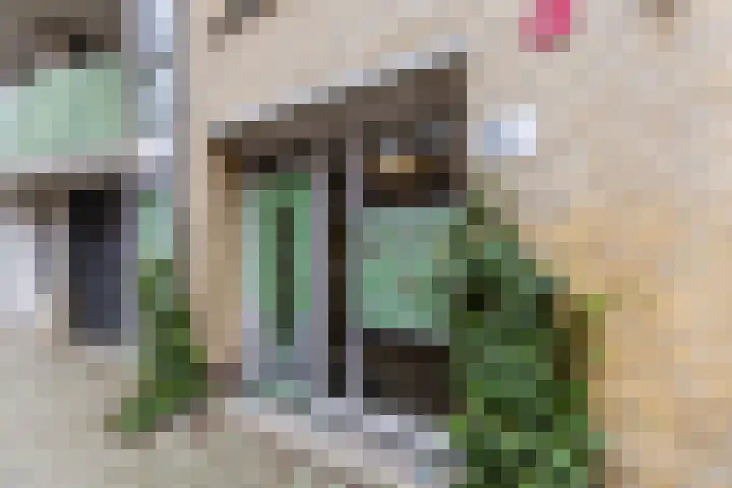 Vrolikstraat 401 C Amsterdam thumbnail 7