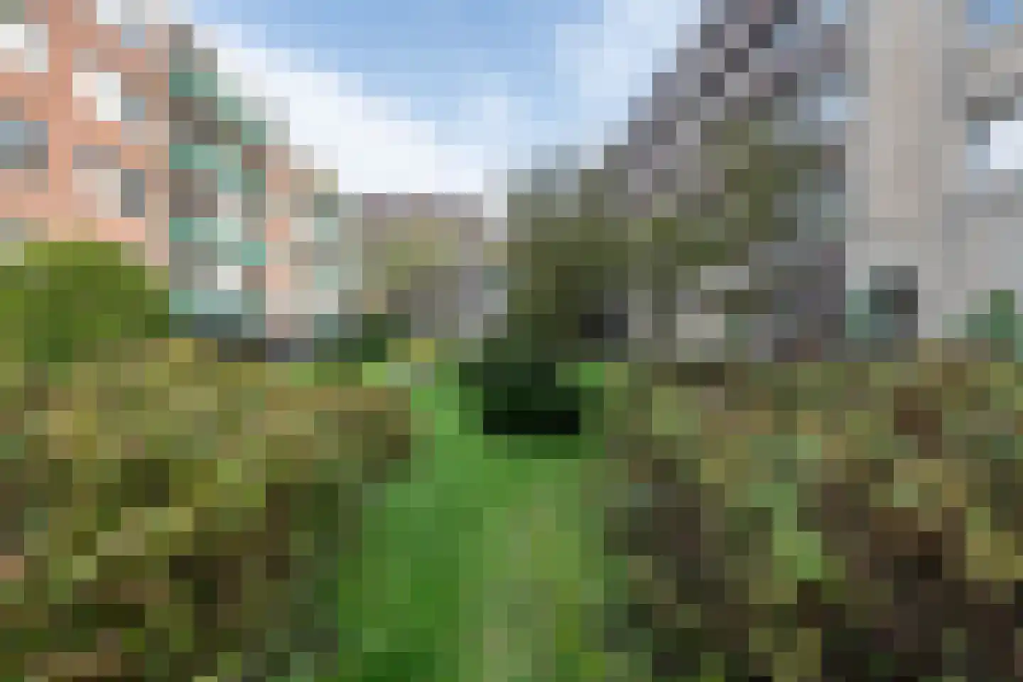 Vrolikstraat 403 D Amsterdam thumbnail 22