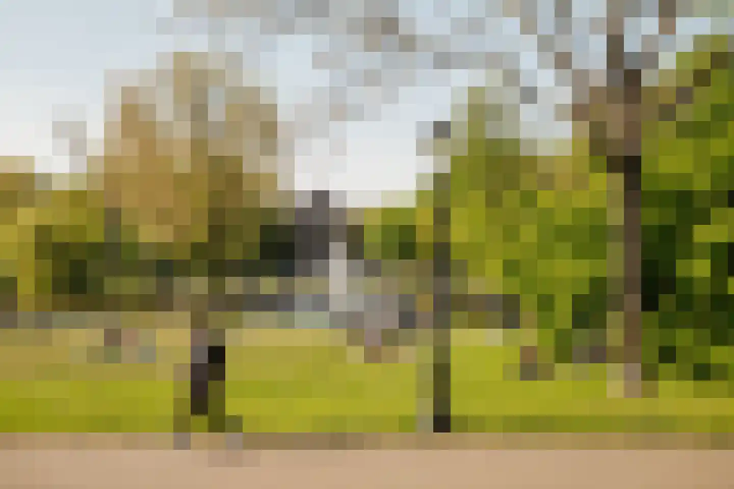 Vrolikstraat 42 2 Amsterdam thumbnail 26
