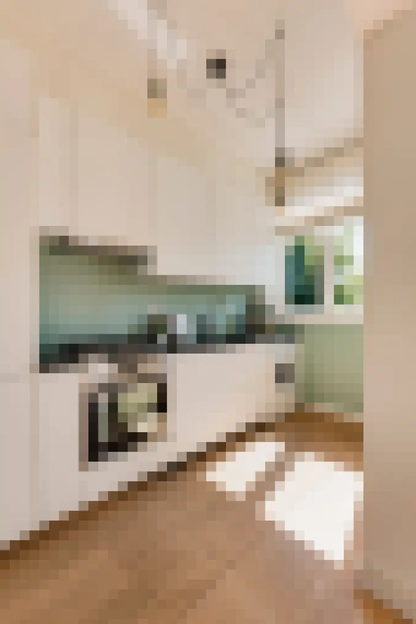 Vrolikstraat 42 2 Amsterdam thumbnail 4