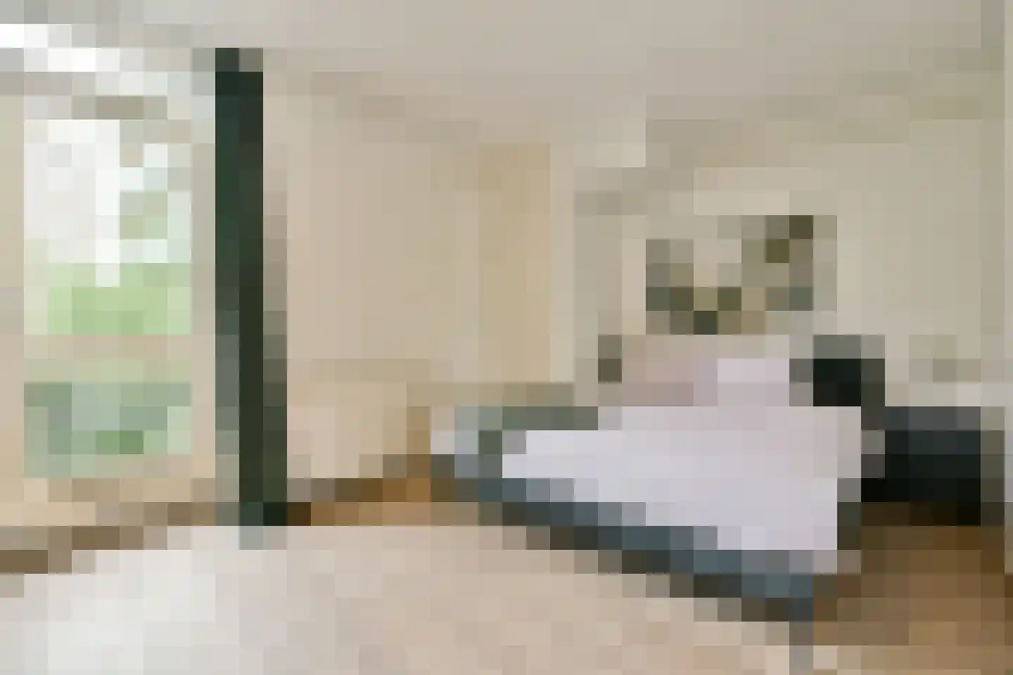 Vrolikstraat 459 Amsterdam thumbnail 14