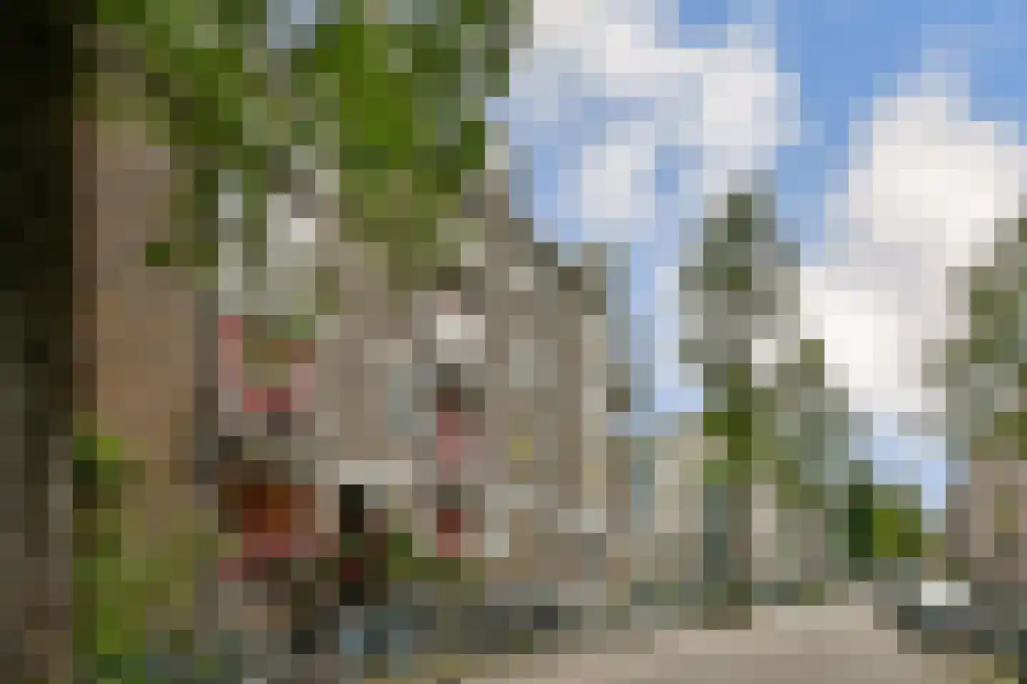 Vrolikstraat 459 Amsterdam thumbnail 19