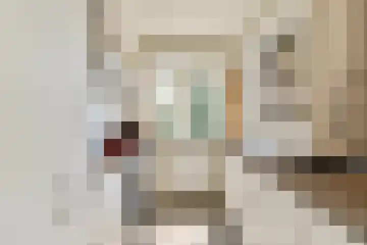 Vrolikstraat 46 H Amsterdam thumbnail 7