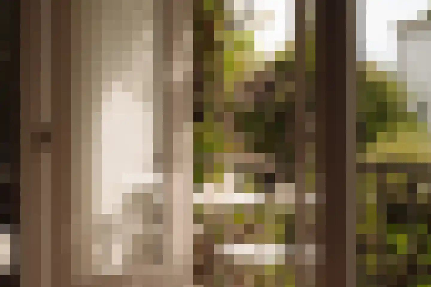 Vrolikstraat 70 1 Amsterdam thumbnail 12