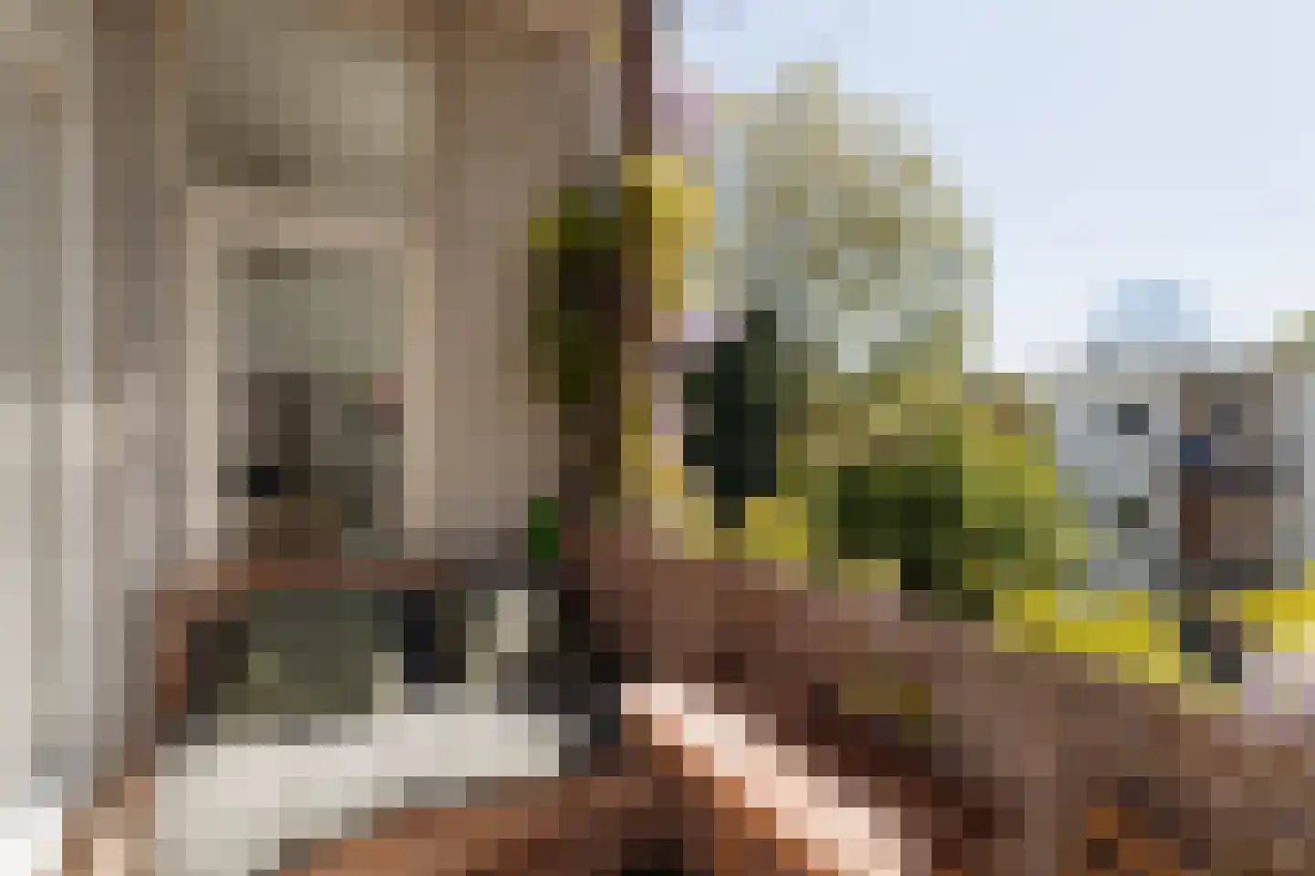 Vrolikstraat 70 1 Amsterdam thumbnail 14