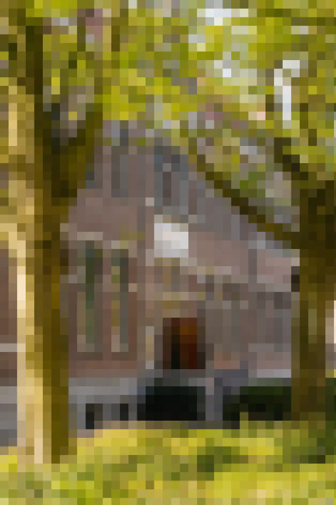 Vrolikstraat 70 1 Amsterdam thumbnail 30