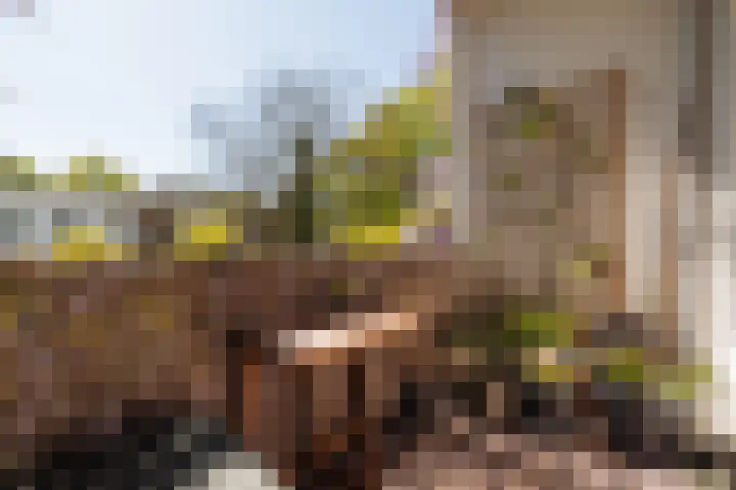 Vrolikstraat 70 1 Amsterdam thumbnail 4