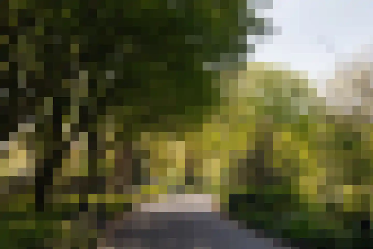 Vrolikstraat 70 1 Amsterdam thumbnail 49