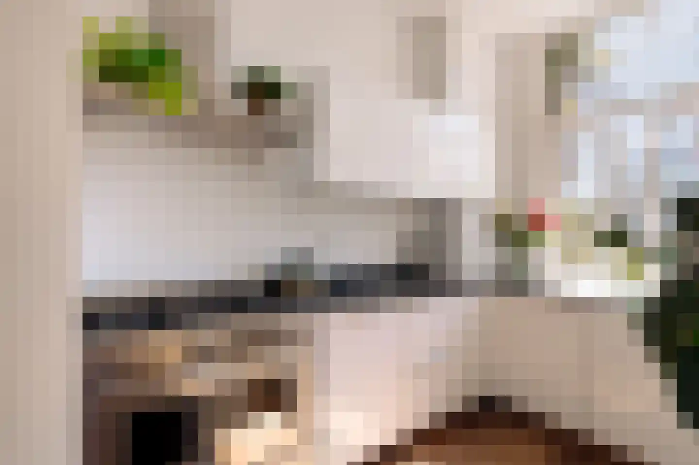 Vrolikstraat 70 1 Amsterdam thumbnail 5