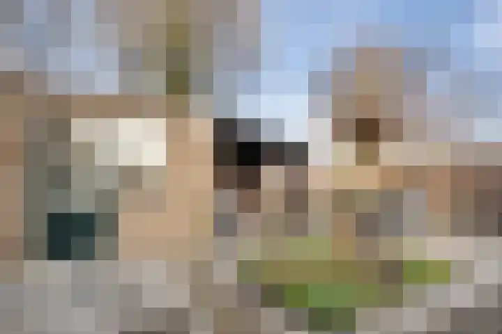 Vromaadweg 103 Velserbroek thumbnail 19
