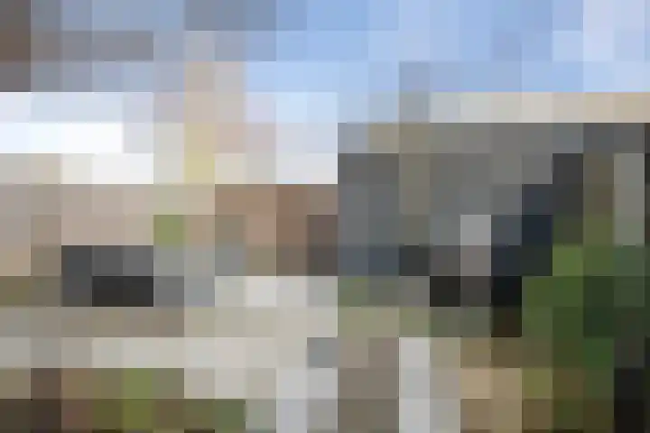 Vromaadweg 103 Velserbroek thumbnail 20