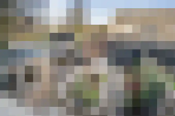 Vromaadweg 103 Velserbroek thumbnail 34