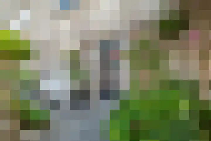 Vromaadweg 57 Velserbroek thumbnail 38