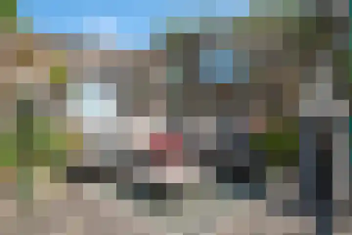 Vromaadweg 57 Velserbroek thumbnail 5