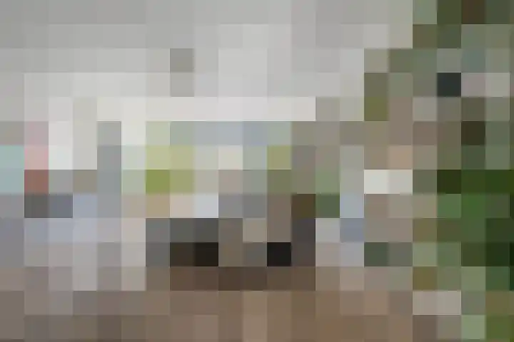 Vromaadweg 57 Velserbroek thumbnail 9