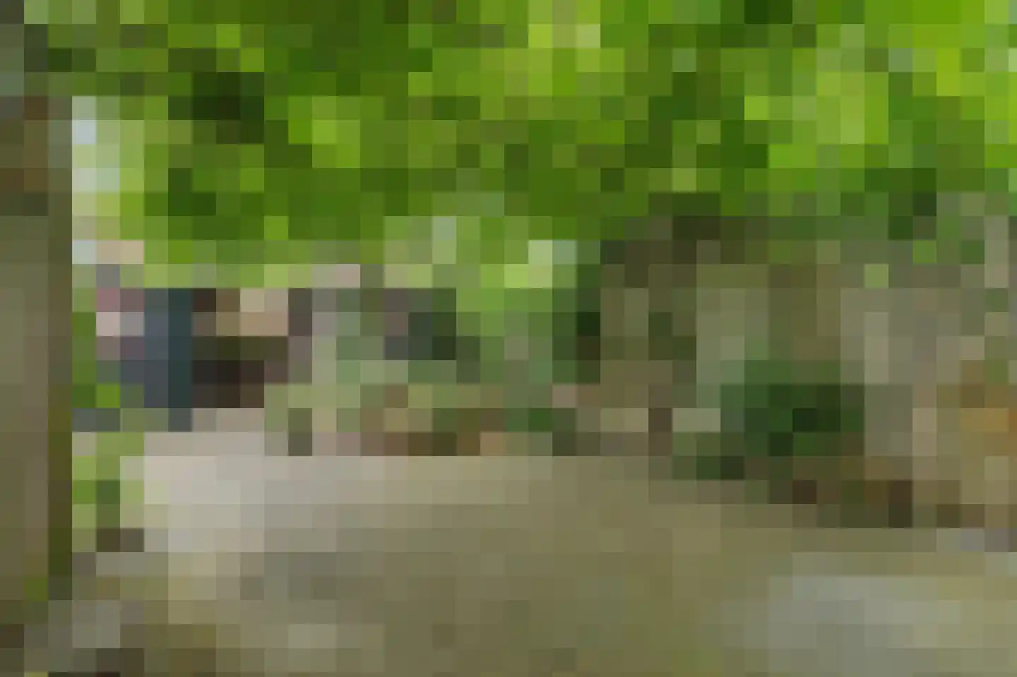 Vromoldsland 27 Middelburg thumbnail 37