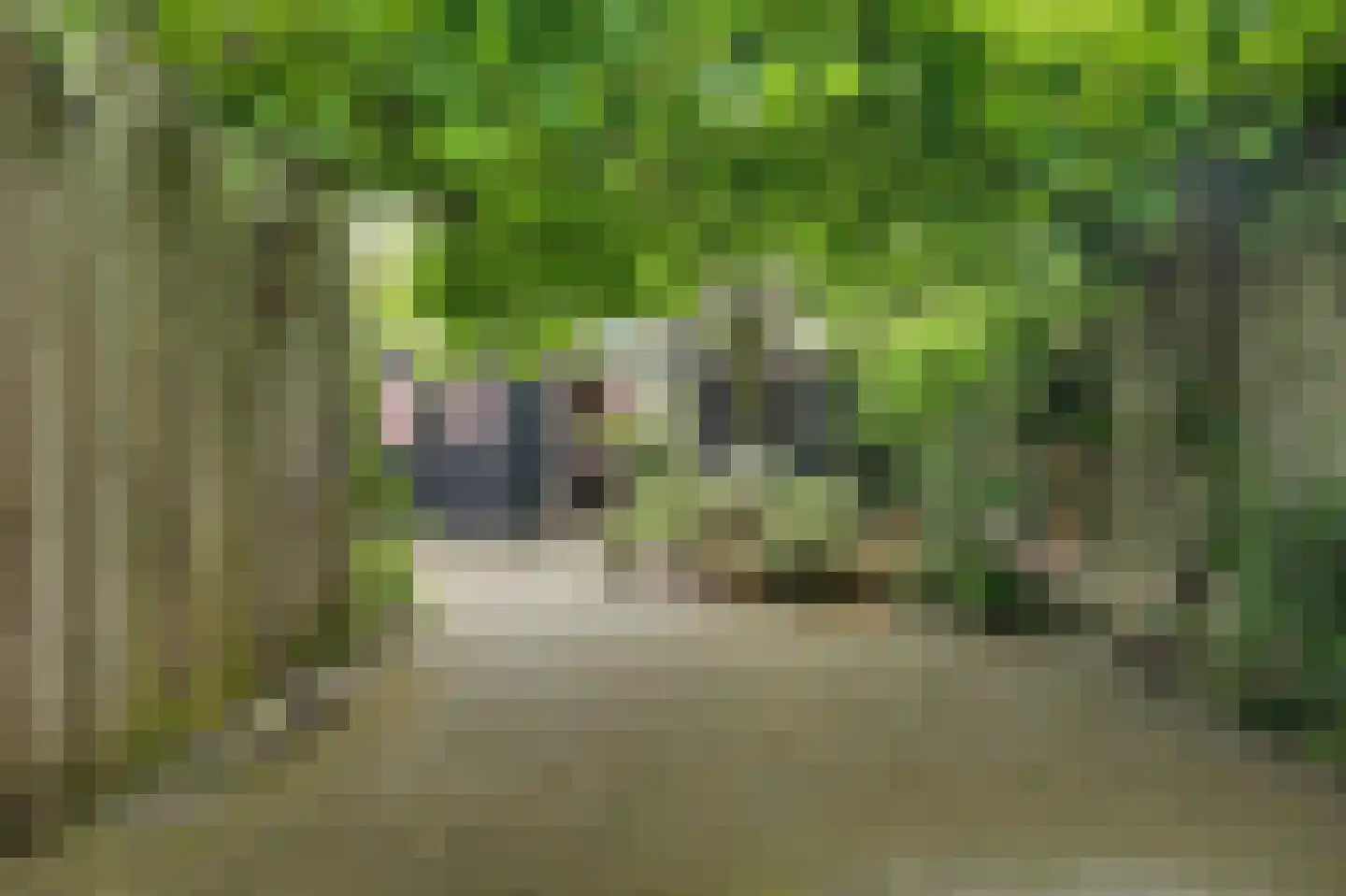Vromoldsland 27 Middelburg thumbnail 40