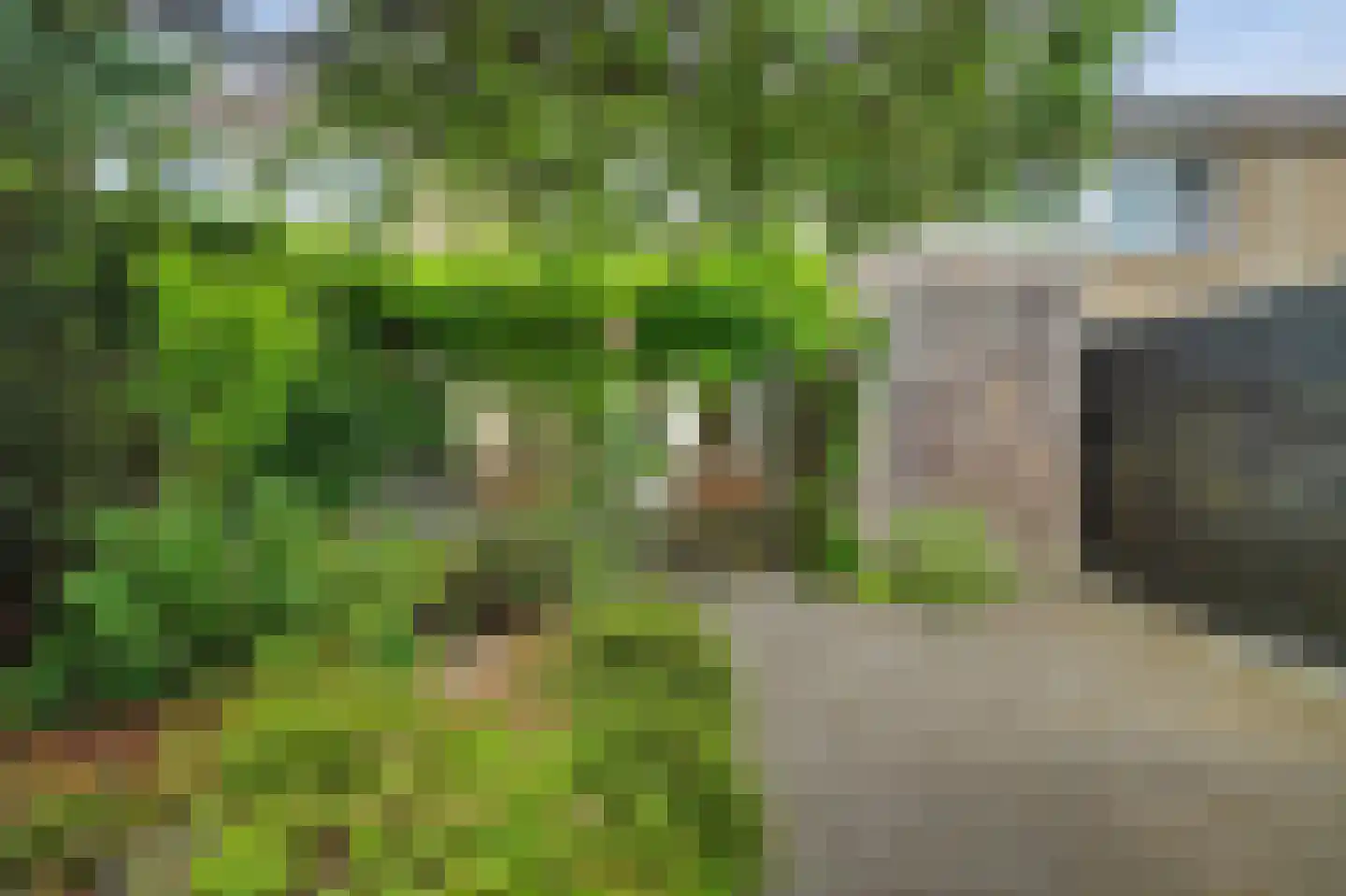 Vromoldsland 27 Middelburg thumbnail 41