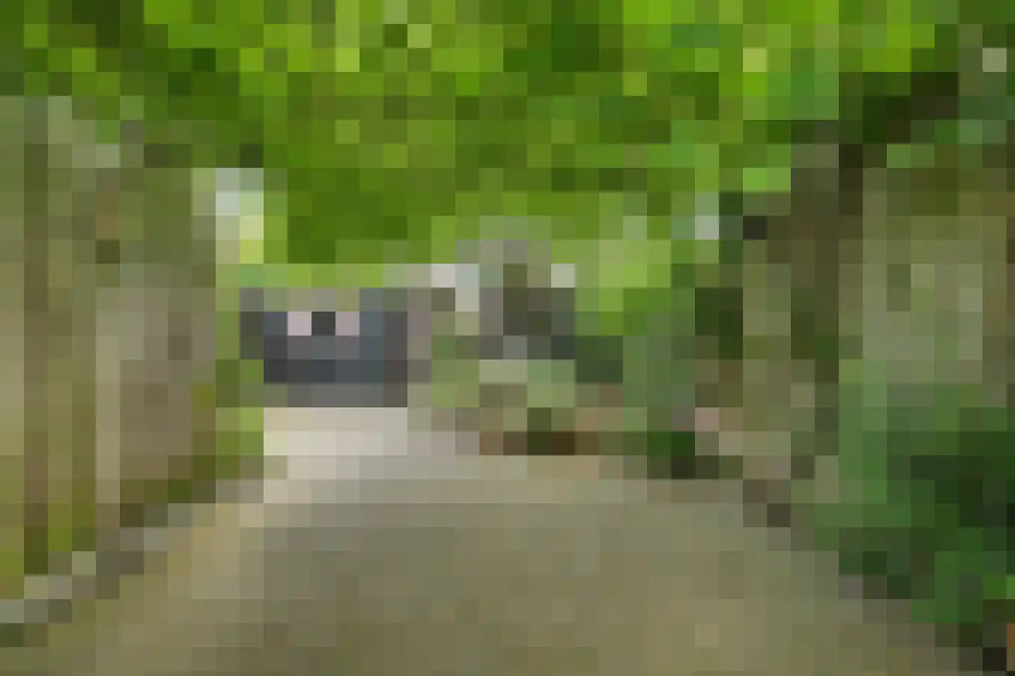 Vromoldsland 27 Middelburg thumbnail 5