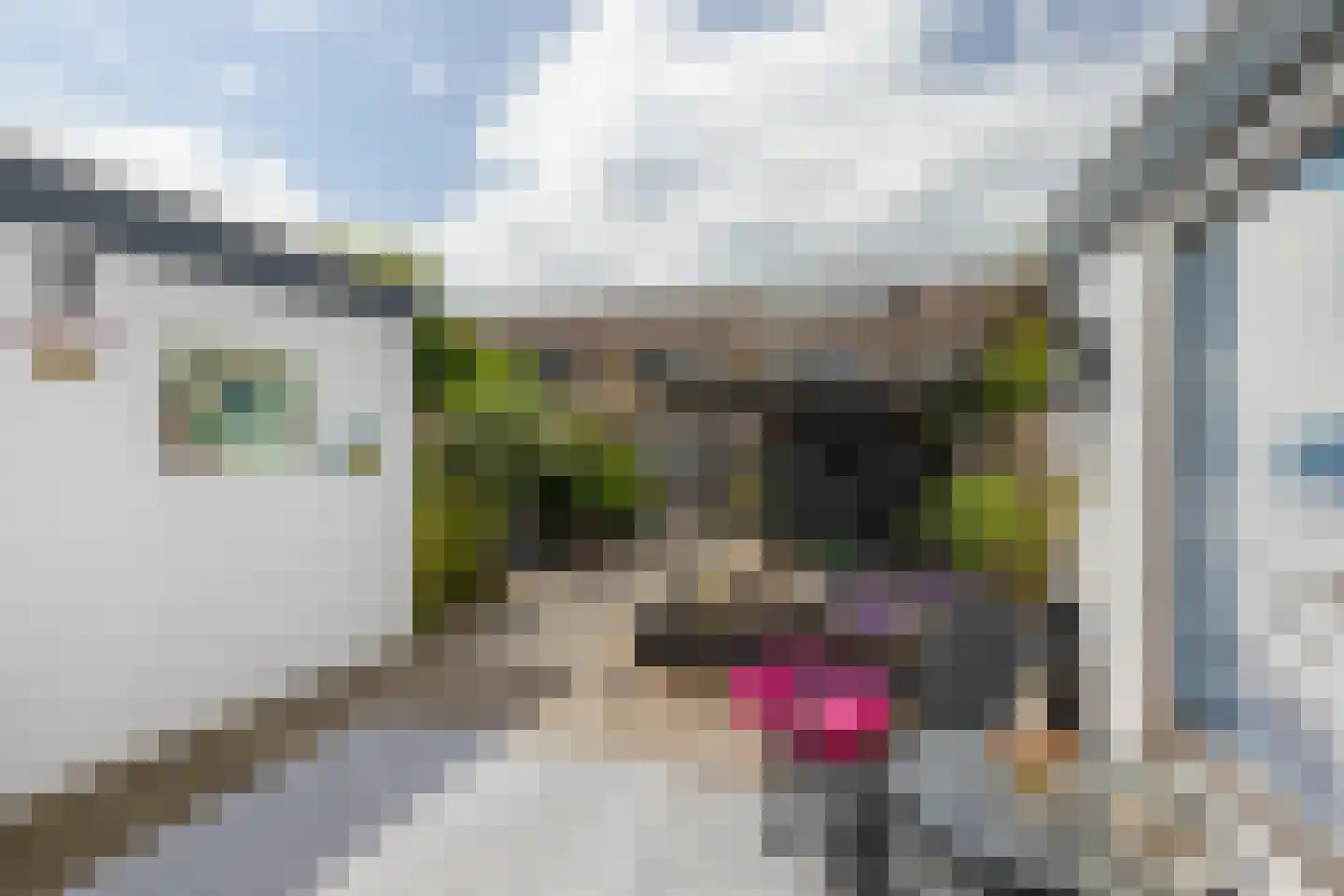 Vromoldsland 35 Middelburg thumbnail 32