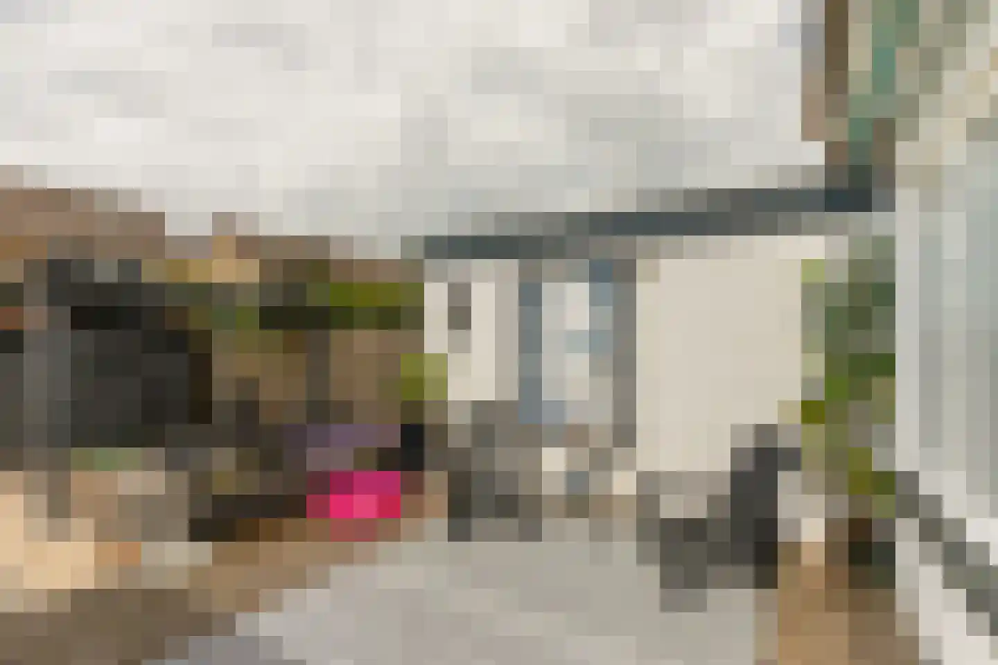 Vromoldsland 35 Middelburg thumbnail 37