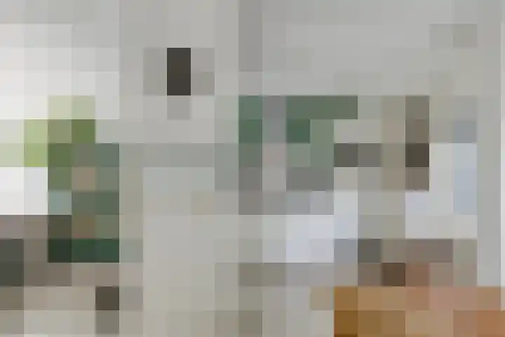 Vromoldsland 51 Middelburg thumbnail 13