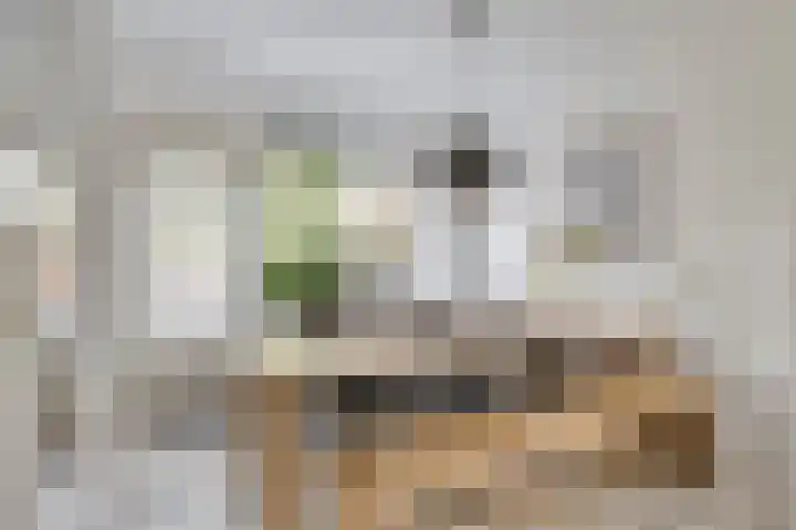 Vromoldsland 51 Middelburg thumbnail 14
