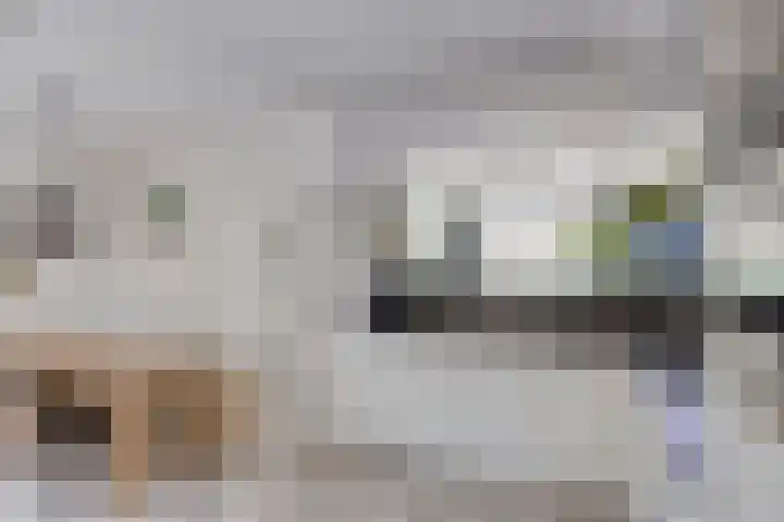 Vromoldsland 51 Middelburg thumbnail 17