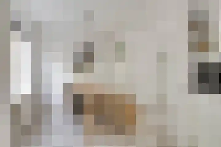 Vromoldsland 51 Middelburg thumbnail 18