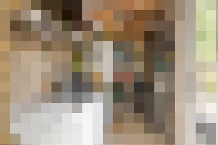 Vromoldsland 51 Middelburg thumbnail 33