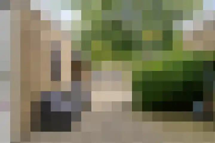 Vromoldsland 51 Middelburg thumbnail 35