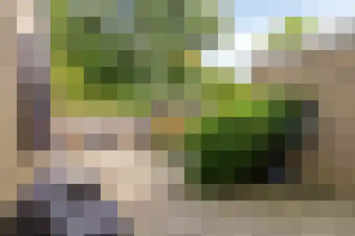 Vromoldsland 51 Middelburg thumbnail 36