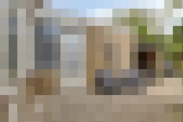 Vromoldsland 51 Middelburg thumbnail 37