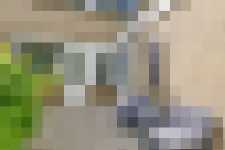 Vromoldsland 51 Middelburg thumbnail 38