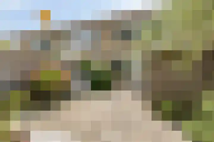 Vromoldsland 51 Middelburg thumbnail 40
